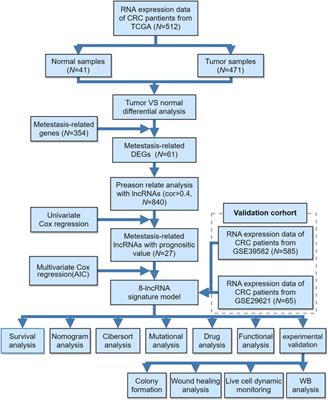 Discovery and Validation of a Novel Metastasis-Related lncRNA Prognostic Signature for Colorectal Cancer